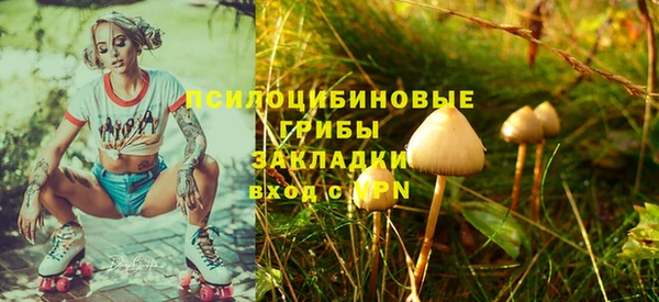 2c-b Алексин