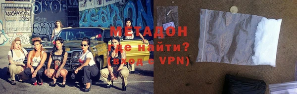 прущие грибы Алзамай