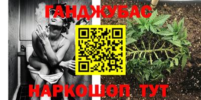 шишки Донской