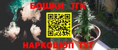 амф Дубна