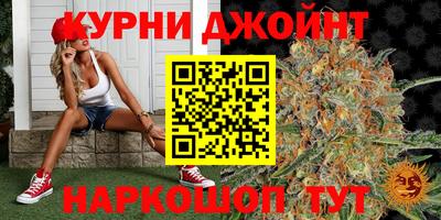шишки Донской