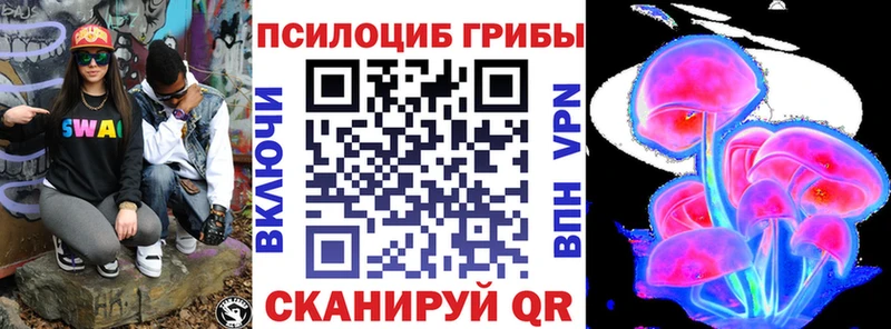 продажа наркотиков  Шадринск  hydra вход  Псилоцибиновые грибы GOLDEN TEACHER 