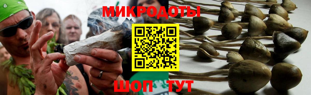 Псилоцибиновые грибы MAGIC MUSHROOMS Шадринск
